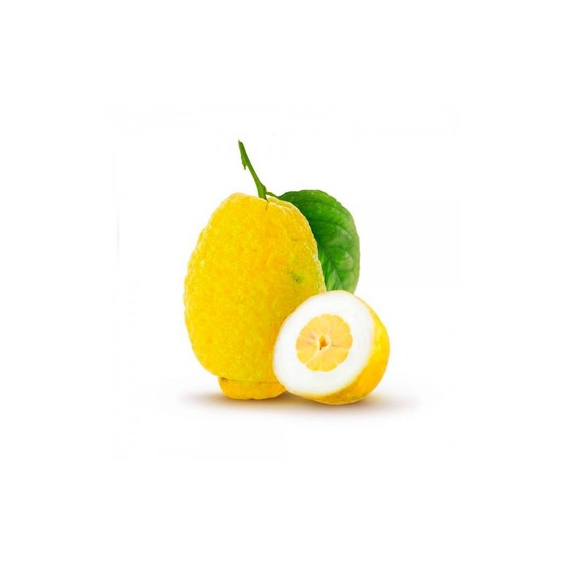 Cedri di Sicilia