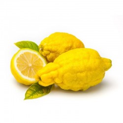 Cedri di Sicilia
